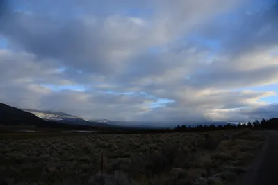 DSC_2946 (Large).JPG